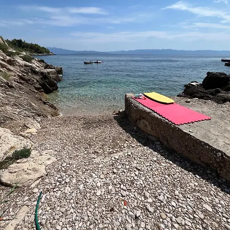 Robinson Artemis * 尼亚卢卡